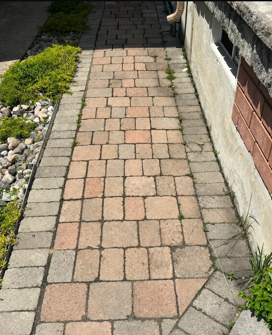 Weathered interlock paver walkway with weeds growing through the joint lines, before sanding and sealing