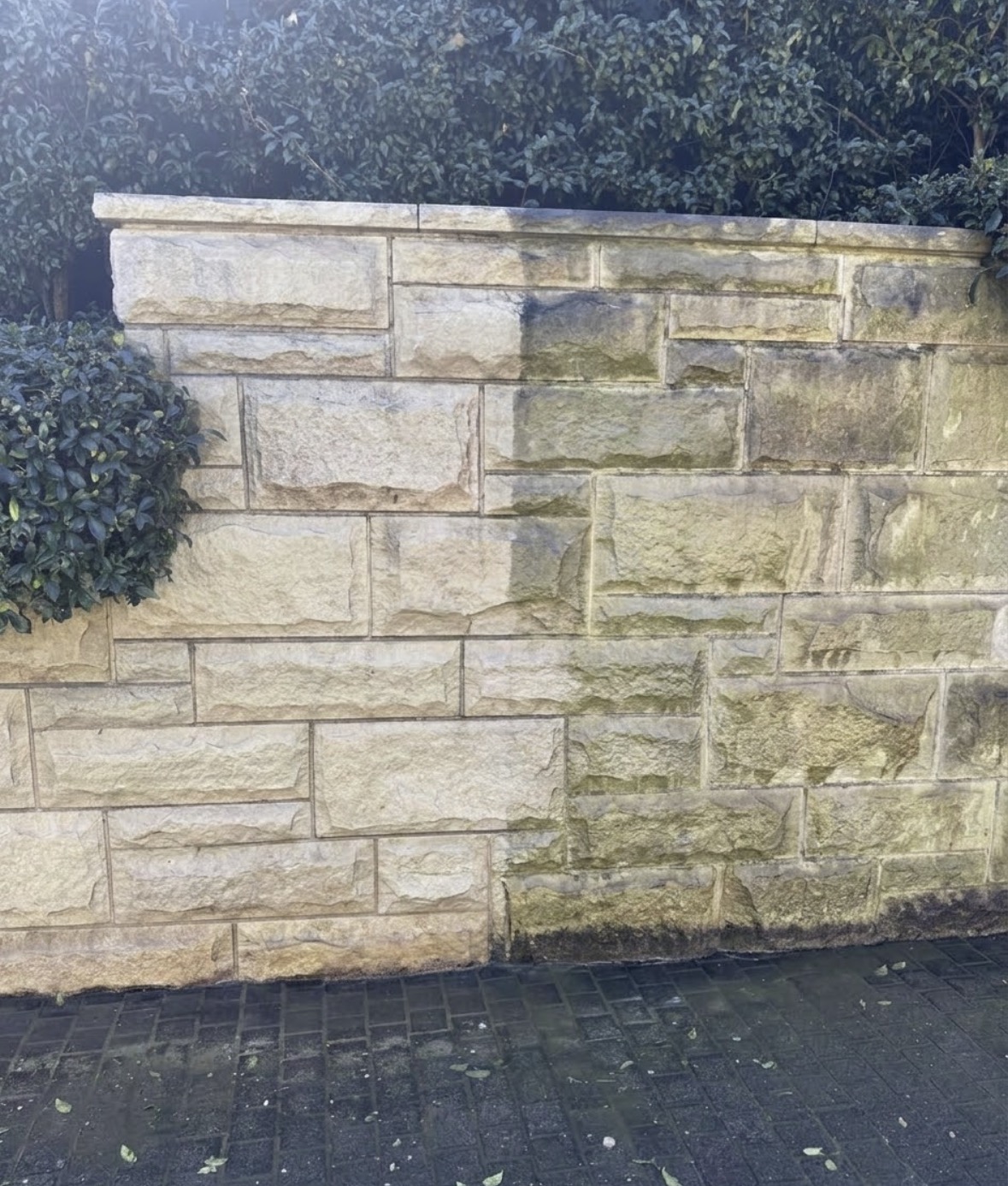 Stone garden wall half pressure washed, the cleaned left half a bright sandy beige beside the algae-darkened right half, above wet brick pavers