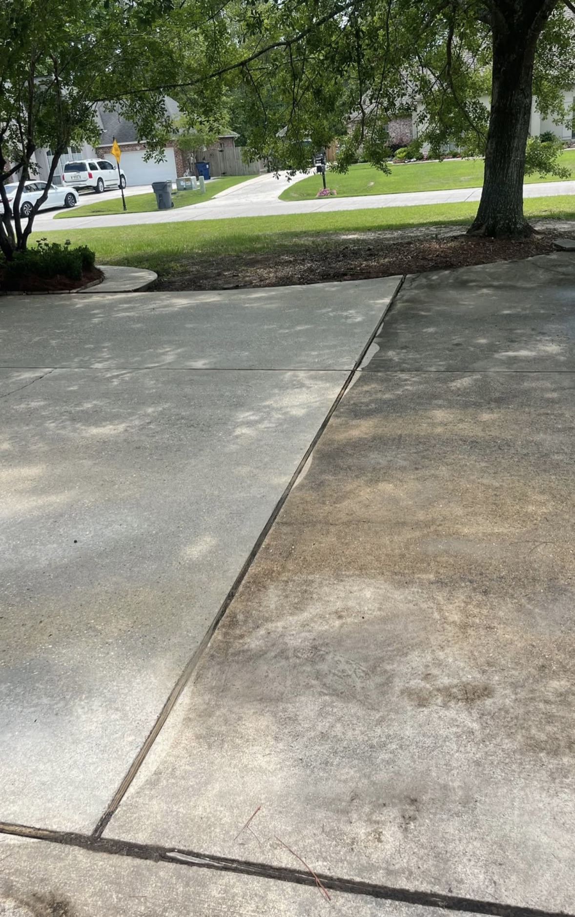 Concrete driveway slabs pressure washed, the cleaned left slab a light grey against the dark, grime-covered right slab, tree shadows across the surface, a tree trunk in a mulch bed on the right and houses across the street