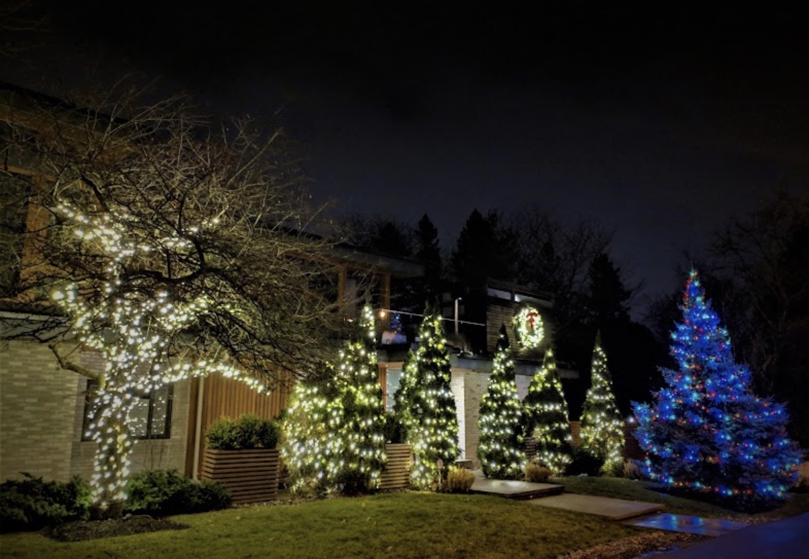 Front yard at night with warm-white lights wrapped around a tree and a row of evergreen trees, with a colourfully lit blue tree to the side